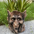 Resin Tree Stump Old Man Head Planter - Home & Garden Decor, Outdoor Pot Ornament