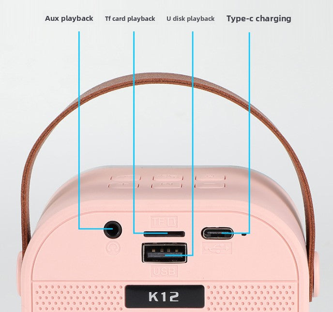 Purple single wheat Portable Mini Karaoke Machine with Wireless Microphone - Bluetooth Speaker for Kids & Adults