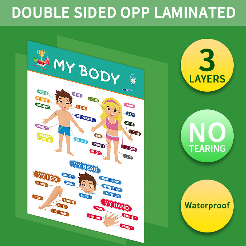 12-Pack Educational Posters for Kids - Laminated Preschool & Kindergarten Learning Charts - ABCs, Numbers, Shapes, Solar System, Weather & More