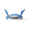 3-Pack Blue Creative Crab Pen Holders - Cute Desk Organizer & Phone Stand - Novelty Office Decor & Gift Idea
