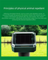 Solar-Powered Sonic Snake and Rodent Repeller Ground Stake - Outdoor Waterproof Ground Vibration Pest Deterrent Device - Ultrasonic Control for Moles, Voles, and House Mice - Garden Lawn Protection - Green Circular Top Model