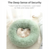 Rainbow Colors Cozy Donut Long Plush Cat & Dog Calming Bed(Diameter 50cm) - Double-Layer PP Cotton Filling Warming Pet Bed with Anti-Slip Base & Free Blanket