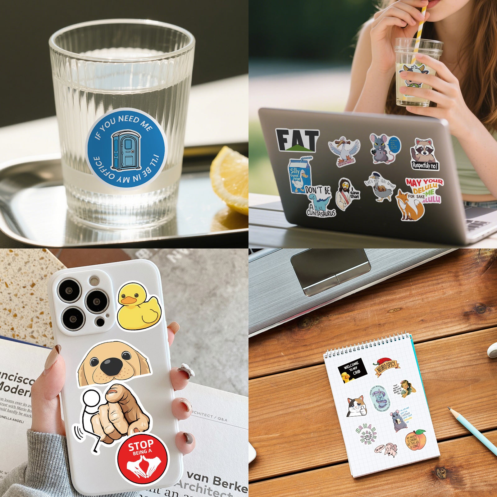 300 Pcs Prank Meme Graffiti Stickers Pack - Waterproof PVC Personalized Decals for Laptop, Luggage, Water Bottle DIY Decoration