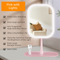 Portable LED Makeup Mirror with Integrated Fill Light & Storage Chassis - 360°Rotatable High-Definition Stylish Tabletop Vanity Mirror(Pink)