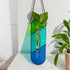 2-Pack Handcrafted Colored Glass Hydroponic Test Tube Vase - Creative Indoor Wall-Mounted Decor for Cuttings & Flowers
