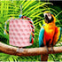 2-Pack Pink Hanging Bird Chew Toy with Bell and Rope, Ideal for Parrots, Squirrels, and Rodents – Durable Wood-Based Grinding Stone for Beak Exercise and Enrichment