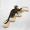 4-Tier Solid Wood Wall-Mounted Cat Climbing Ladder - Vertical Jumping Steps for Indoor Cats with Installation Kit