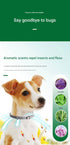 Flea & Tick Collar 38cm – 8‑Month Protection, Waterproof, Adjustable, Breakaway Grey