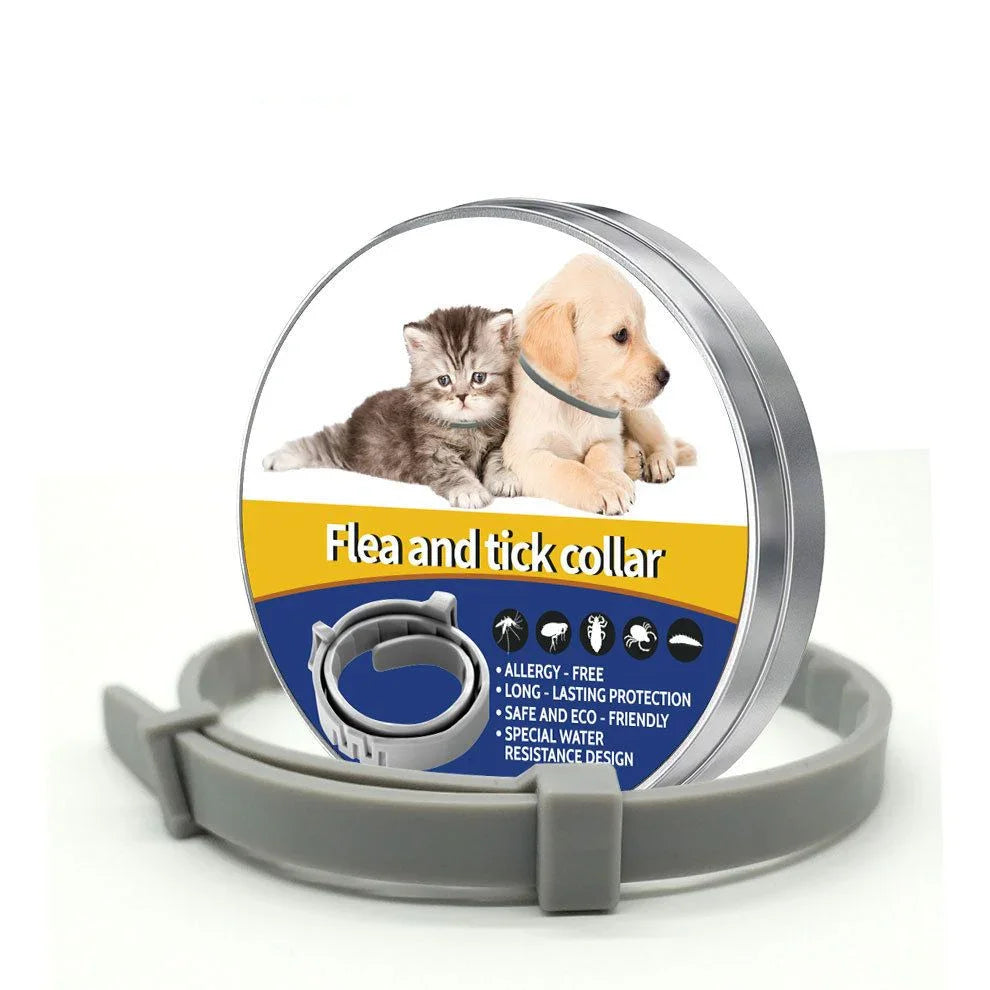 Flea & Tick Collar 38cm – 8‑Month Protection, Waterproof, Adjustable, Breakaway Grey
