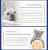 Flea & Tick Collar 62cm – 8‑Month Protection, Waterproof, Adjustable, Breakaway Grey