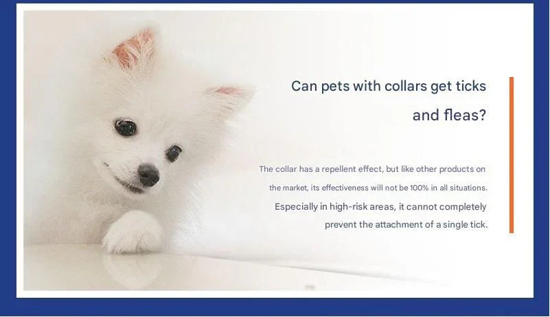 Flea & Tick Collar 62cm – 8‑Month Protection, Waterproof, Adjustable, Breakaway Grey
