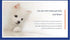 Flea & Tick Collar 2‑Pack – 62cm, 8‑Month Protection, Waterproof, Grey