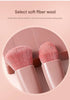 Pink 5-Piece Compact Makeup Brush Set with Mirror - Synthetic Fibre Travel Case with Foundation, Powder & Blush Brushes - Portable Beauty Tool Kit for On-the-Go Touch-Ups