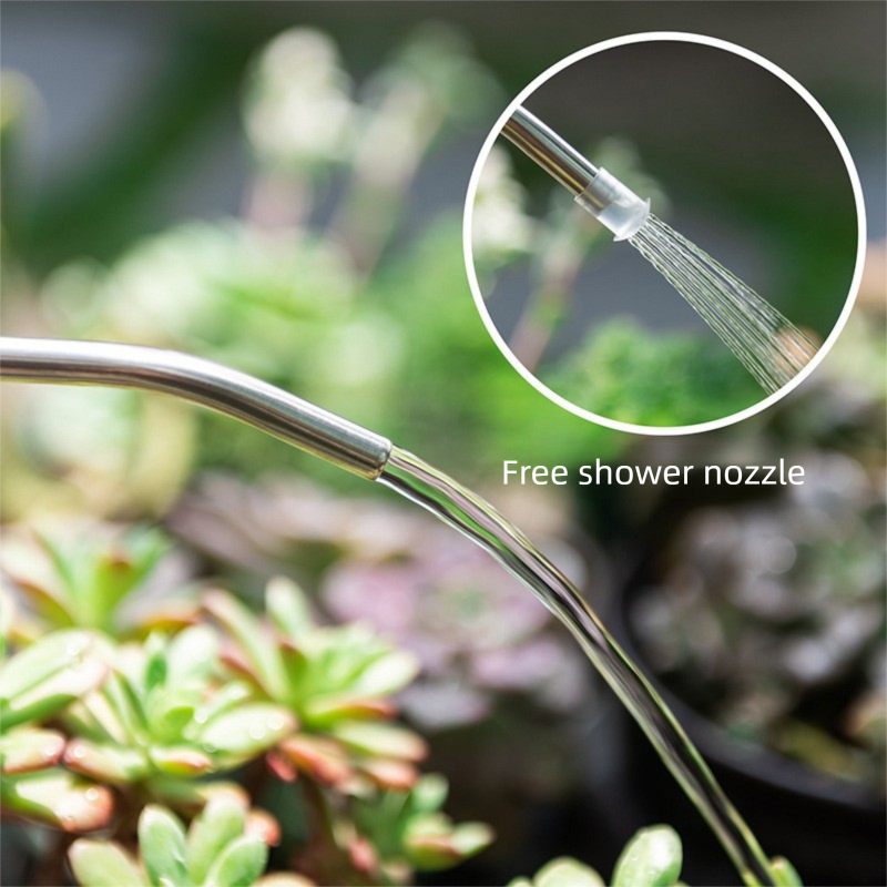 2L Gray Long Spout Watering Can with Shower Head - Clear Plastic Indoor Plant Waterer for Succulents, Balcony Garden, Precise Watering Tool