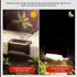 4 Pack Solar Step Lights (White light)- Outdoor LED Fence and Deck Lights with Auto Dusk Activation, 8-10 Hour Lighting for Stairs, Garden, Patio and Pathways