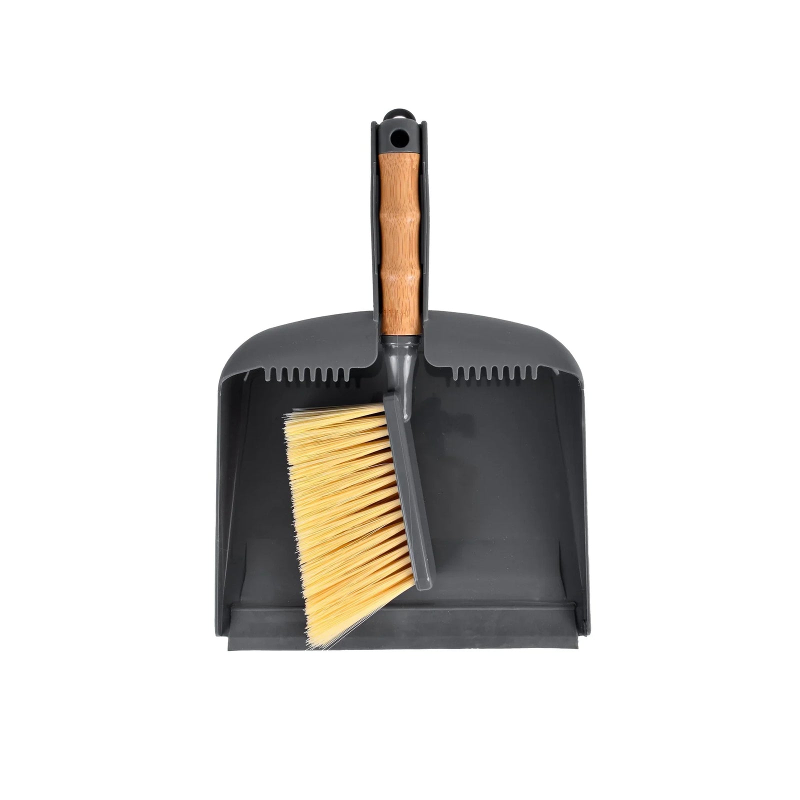 Dustpan & Brush Set