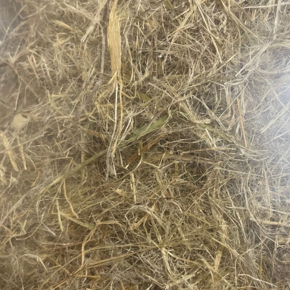 Hemp Absorbent Nest Material | 50g | 2 Pack