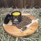 Vital Equine | Hemp, Comfrey & Arnica Balm 120g