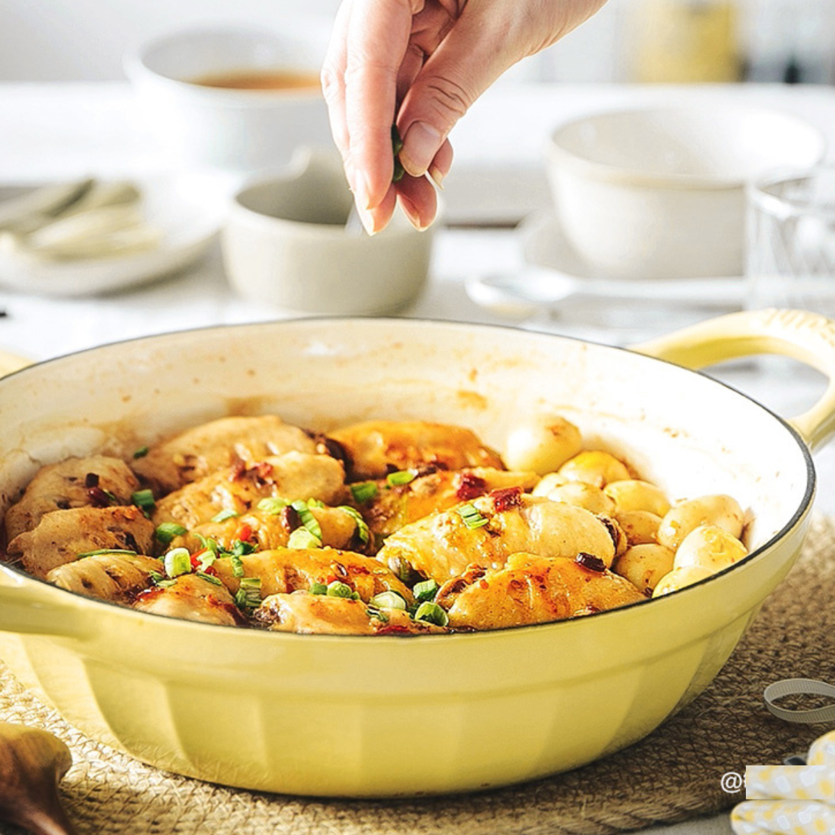 CP581 Enameled Cast Iron Dutch Oven Yellow