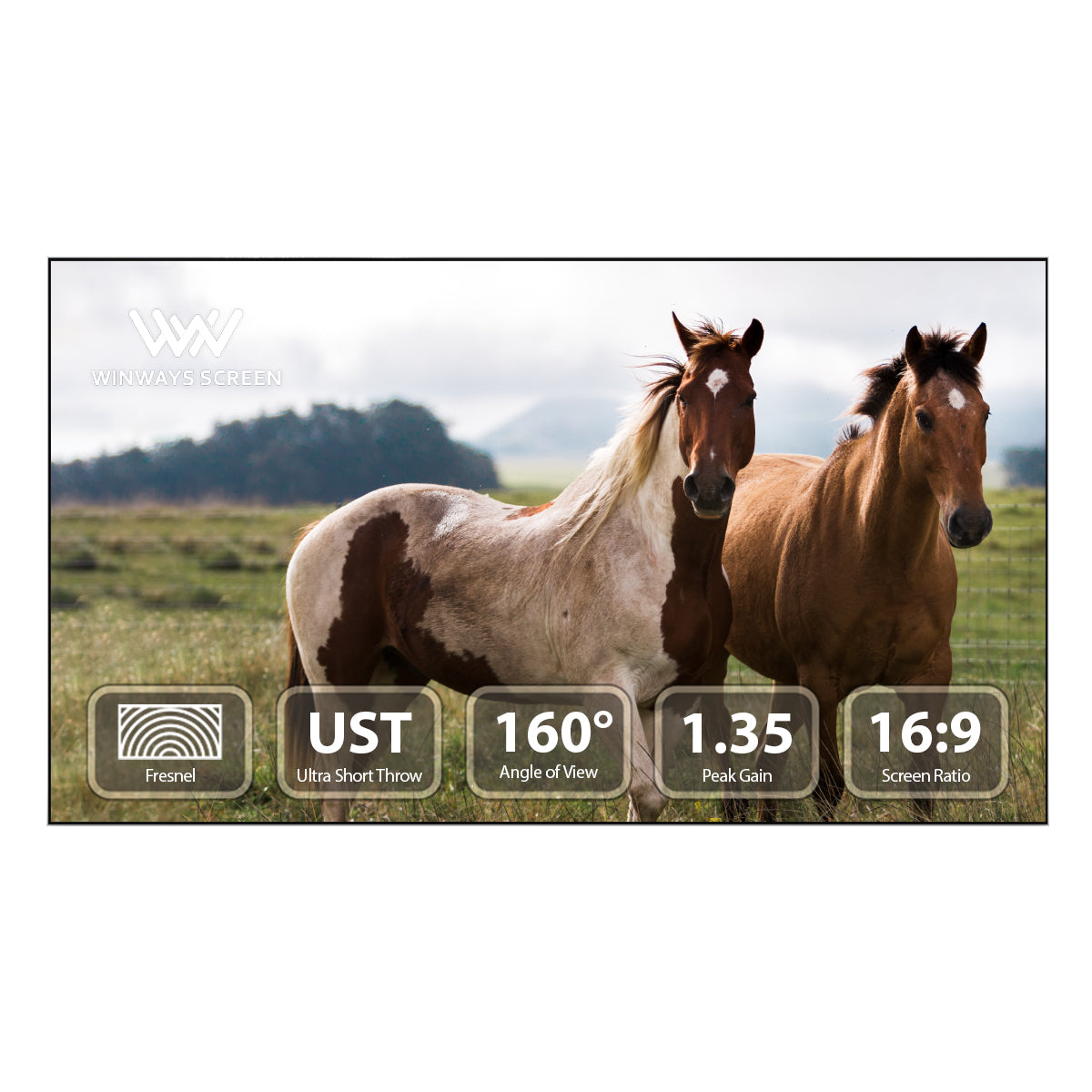 UST Throw ALR 120'' Fixed Frame Fresnel Screen