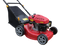 Self Propelled Lawn Mower