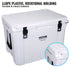 VEVOR Insulated Portable Cooler, 65 qt, Holds 65 Cans, Ice Retention Hard Cooler with Heavy Duty Handle, Ice Chest Lunch Box for Camping, Beach, Picnic, Travel, Outdoor, Keeps Ice for up to 6 Days
