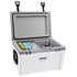 Insulated Portable Cooler, 49 L, Holds 50 Cans, Ice Retention Hard Cooler with Heavy Duty Handle, Ice Chest Lunch Box for Camping, Beach, Picnic, Travel, Outdoor, Keeps Ice for up to 6 Days