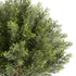 2pcs 16" Artificial Cypress Topiary Trees Faux Shrubs with Ground Spike