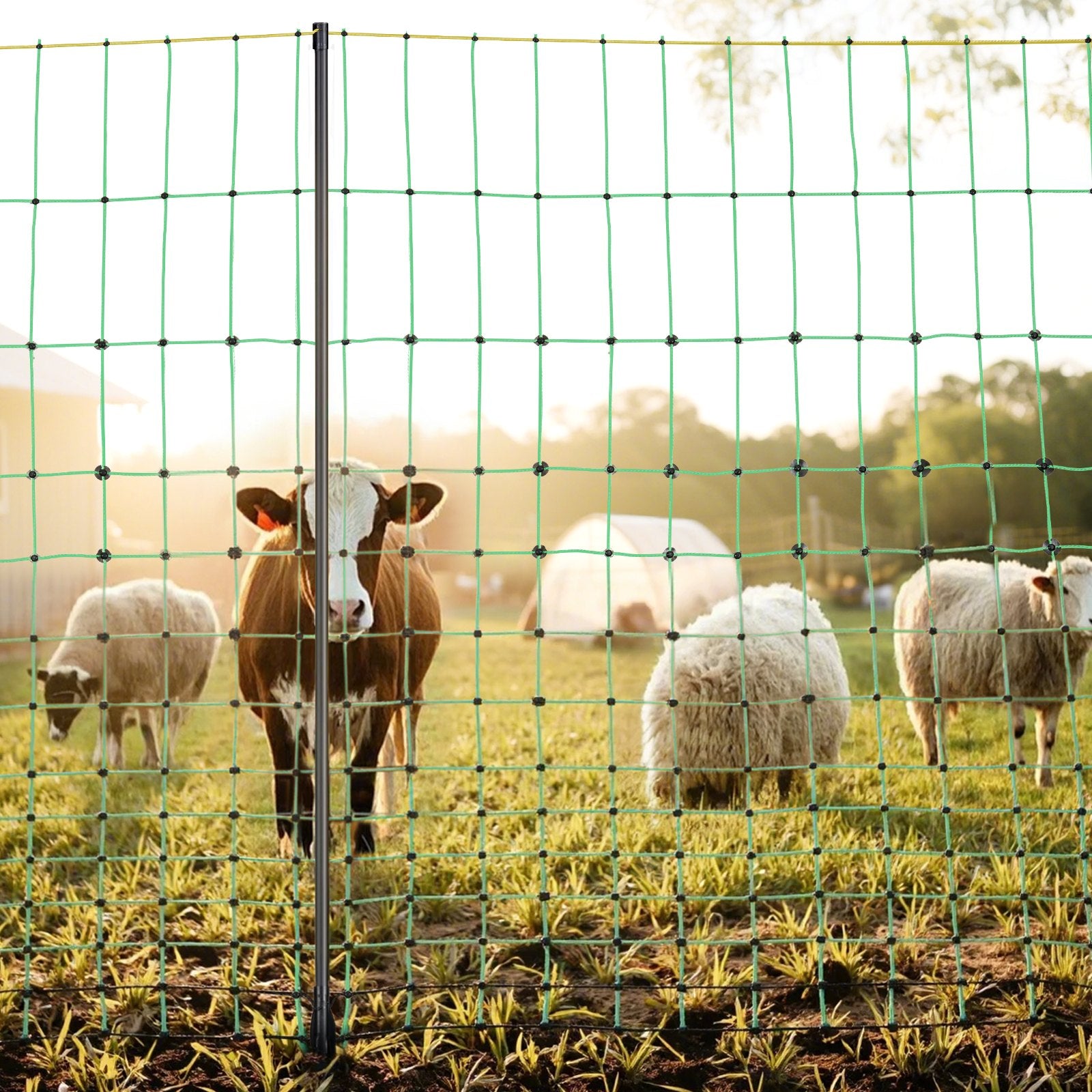 Electric Fence Netting, 0.88 x 49.98 m, PE Net Fencing with Posts & Double-Spiked Stakes, Utility Portable Mesh for Goats, Sheep, Lambs, Deer, Hogs, Dogs, Used in Backyards, Farms, and Ranches
