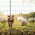 Electric Fence Netting, 0.88 x 49.98 m, PE Net Fencing with Posts & Double-Spiked Stakes, Utility Portable Mesh for Goats, Sheep, Lambs, Deer, Hogs, Dogs, Used in Backyards, Farms, and Ranches