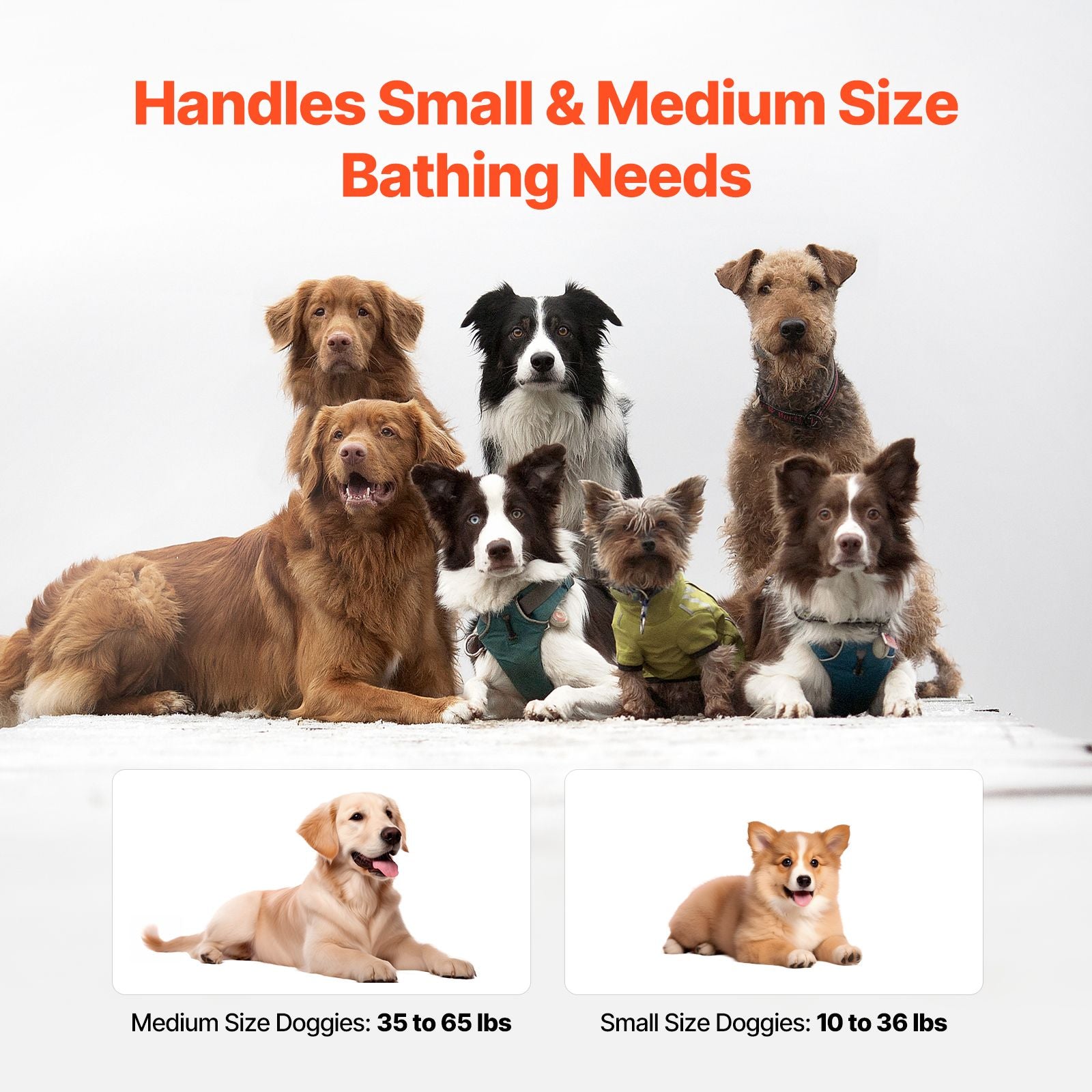 Portable Elevated Foldable Dog Bathtub Pet Shower Station Quick Drain