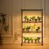 Plant Stand with Grow Lights 4 Tiers 180W 150 cm Tall Plant Grow Shelf