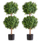 Artificial Topiary Boxwood Double Ball, 2 Set 914mm Faux Boxwood Plant Balls, Fake Silk Tree Look Real, Easy Assembly for Decor Front Porch Outdoor Patio Garden Balcony Backyard Indoor