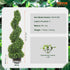 2 Pack Artificial Spiral Topiary Trees 3FT Faux Boxwood Plants with Pots