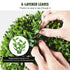 2 Pack 91.4cm Artificial Boxwood Topiary Tree Faux Plant UV Decor In/Outdoor