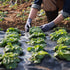 Weed Barrier Landscape Fabric, 4*100FT Heavy Duty Garden Weed Fabric, Woven PP Weed Control Fabric, Driveway Fabric, Geotextile Fabric for Landscaping, Ground Cover, Weed Blocker Weed Mat, Black