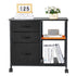Mobile Metal File Cabinet, 3 Fabric Drawers & 2 Open Shelves, Rolling Black