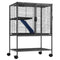 34" Metal Small Animal Cage 2-Tier Rolling Ferret Cage with Tray A Ramp