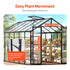 Polycarbonate Greenhouse 8 x 12 Ft Outdoor Walk-in Greenhouse for Garden