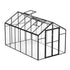 Polycarbonate Greenhouse 8 x 12 Ft Outdoor Walk-in Greenhouse for Garden