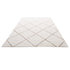 Indoor Plush Area Rugs, 2.44 x 3.05m Plush Carpet, Area Rugs Furry with Long Plushs Pile, Thick & Durable High-Pile Rug for High-Traffic Areas, Bedroom, Non-Shedding & Non-Slip Backing, Beige