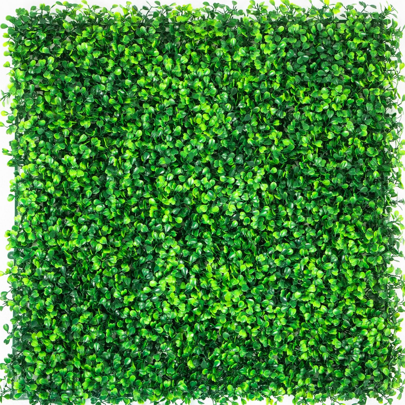 14PCS Artificial Boxwood Hedge Wall Panels 50x50cm Privacy Screen Green