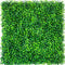 14PCS Artificial Boxwood Hedge Wall Panels 50x50cm Privacy Screen Green