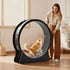 Cat Exercise Wheel, 120 cm Wooden Cat Running Wheel for Indoor Cats up to 12.7 kg, Cats Treadmill with Carpeted Runway & Locking Mechanism, Quiet Kitten Sport Toys for Pets Fitness, Black