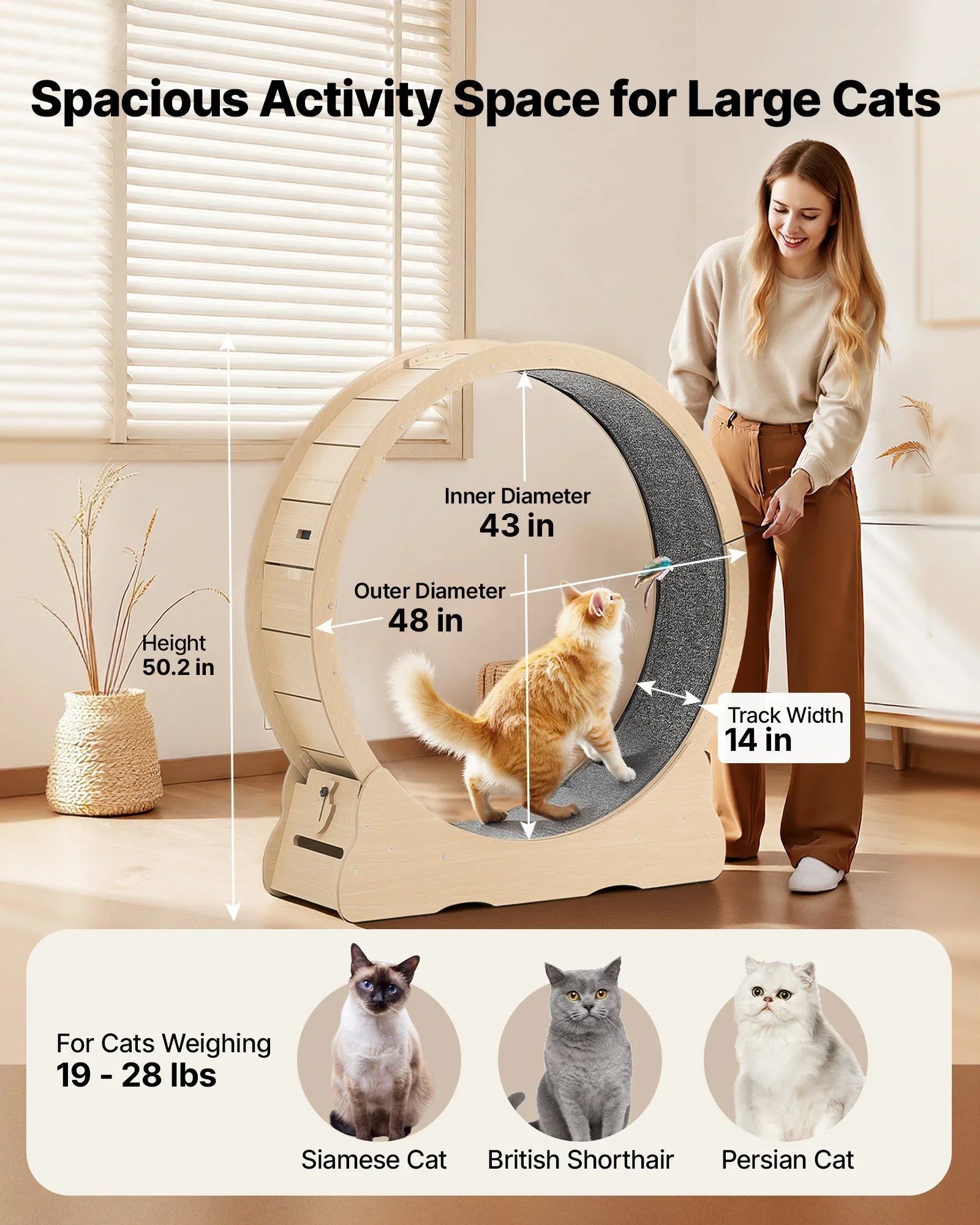Cat Exercise Wheel, 120cm Wooden Cat Running Wheel for Indoor Cats up to 12.7kg Cats Treadmill with Carpeted Runway & Locking Mechanism, Quiet Roller Kitten Sport Toys for Pets Fitness & Health