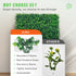 12PCS Artificial Boxwood Panels 10x10 Inch UV Protected Hedge Wall Mat