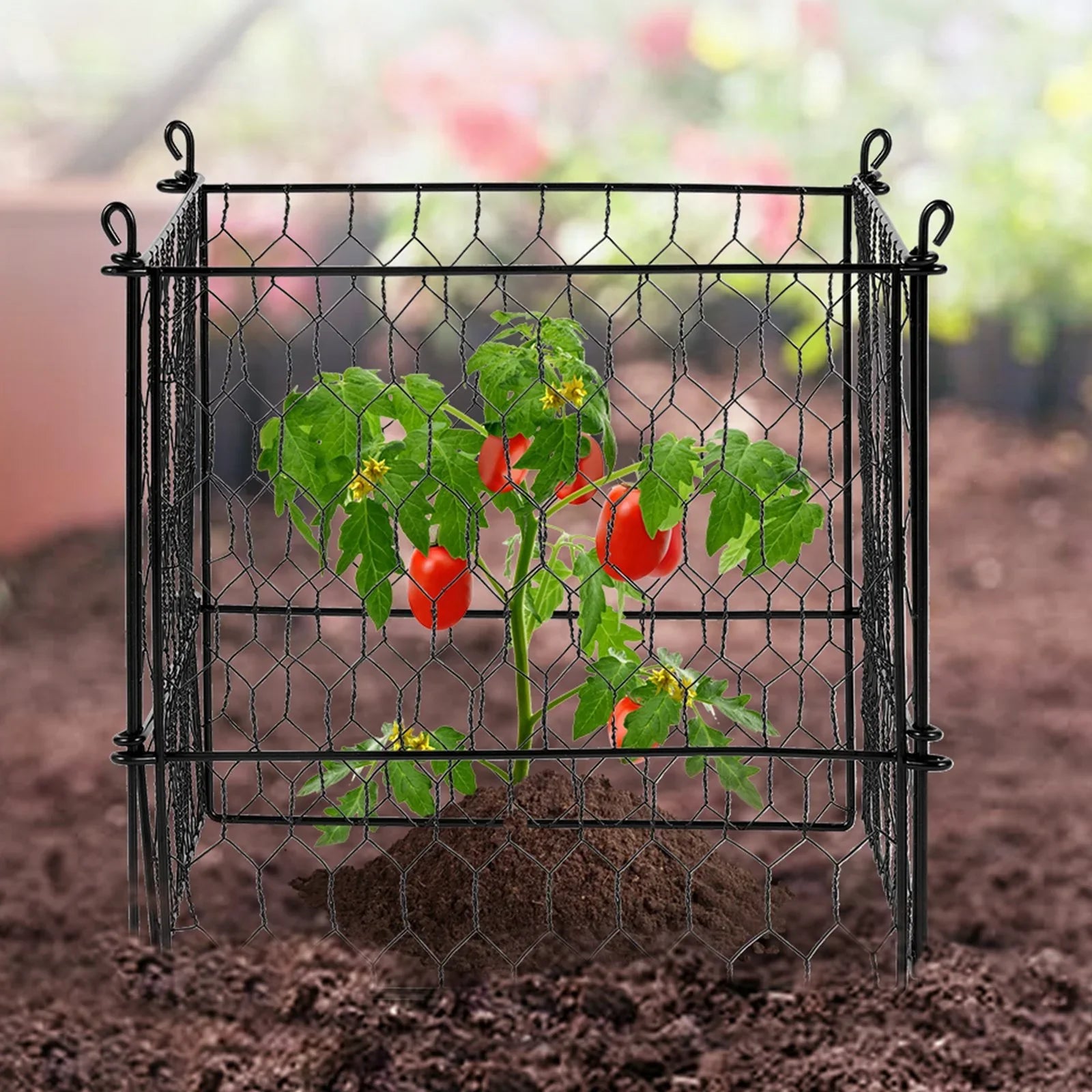 4 Pack Plant Protector from Animals, 13.4'' x 13.4'' Chicken Wire Plant Protector, Plant Cages for Outdoor Plants, Flowers & Vegetables, Keeps Bunny Chicken Squirrels Out, 16pcs Metal Mesh