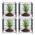 4 Pack Plant Protector from Animals, 13.4'' x 13.4'' Chicken Wire Plant Protector, Plant Cages for Outdoor Plants, Flowers & Vegetables, Keeps Bunny Chicken Squirrels Out, 16pcs Metal Mesh