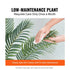 Artificial Palm Tree, 1219mm Tall Faux Plant, Secure PE Material & Anti-Tip Tilt Protection Low-Maintenance Plant, Lifelike Green Fake Tree for Home Office Warehouse Decor Indoor Outdoor