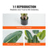 1.5m Artificial Birds of Paradise Tree Faux Plant PE Greenery Decor